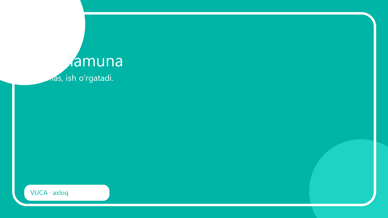 Lider namuna